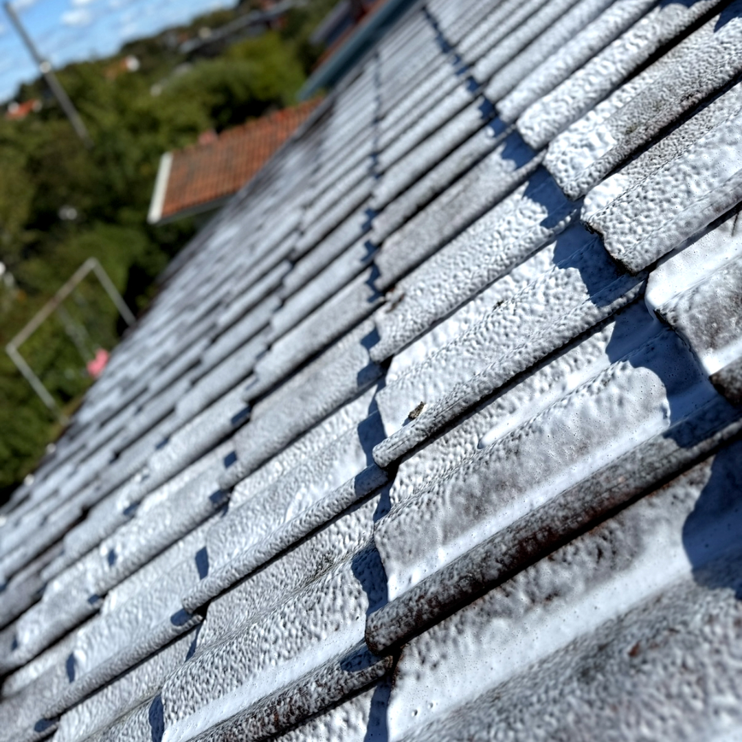 Algbehandling på tak i Göteborg