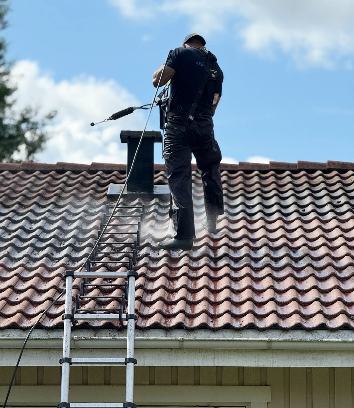 fastighetstvätt företag